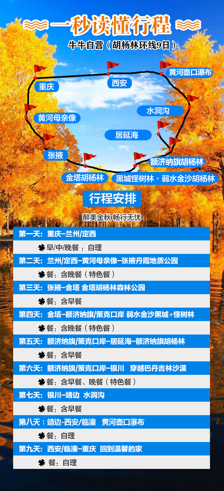 胡杨林