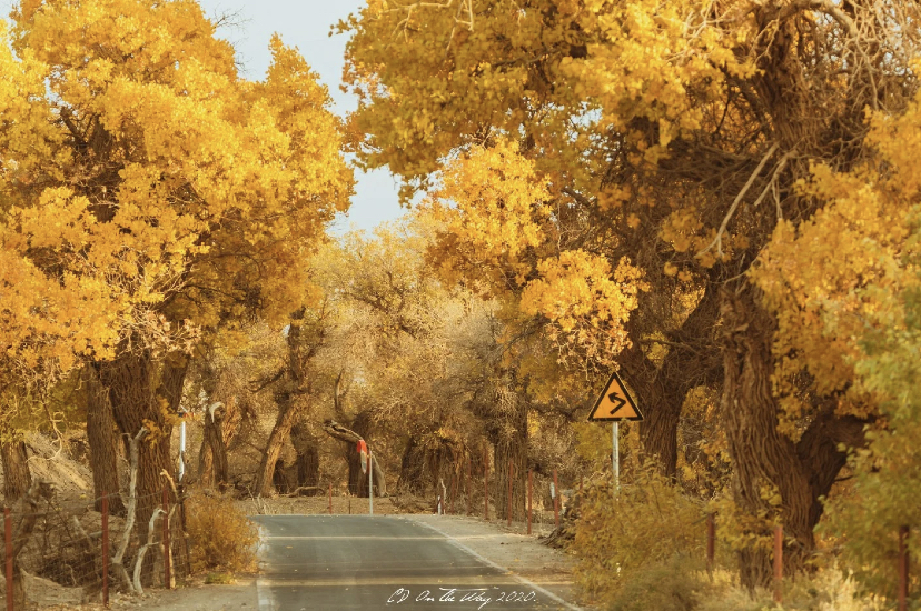 333