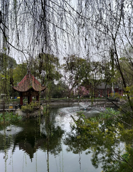 微信图片_20240826145901 微信图片_20240826145901