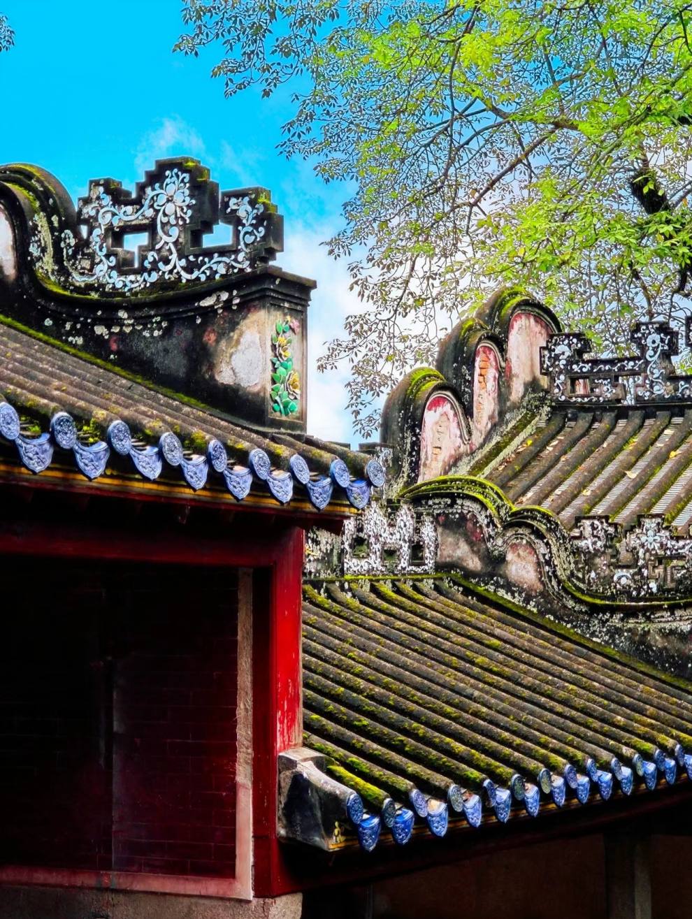 微信图片_20240906153731 微信图片_20240906153731