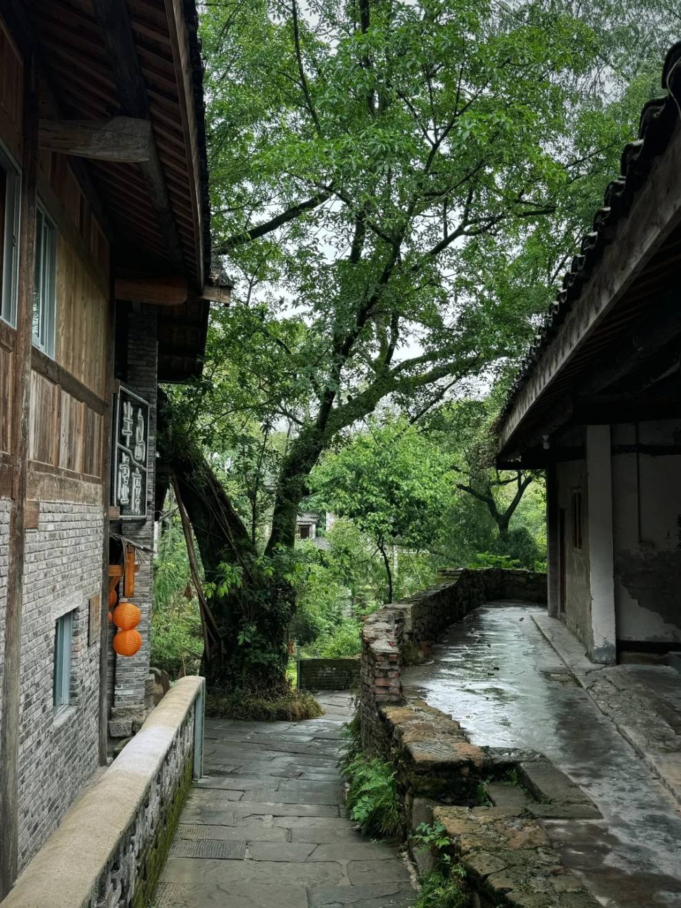 重庆人嘴真严 这个古村美成这样居然不说_3_爱旅行的宁小娜_来自小红书网页版