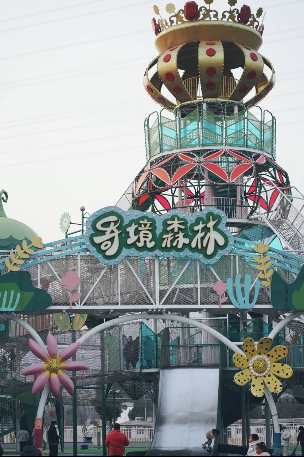 马2 马2