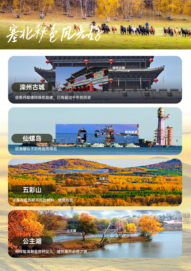 微信图片_20260626093210_10169_253 微信图片_20260626093210_10169_253
