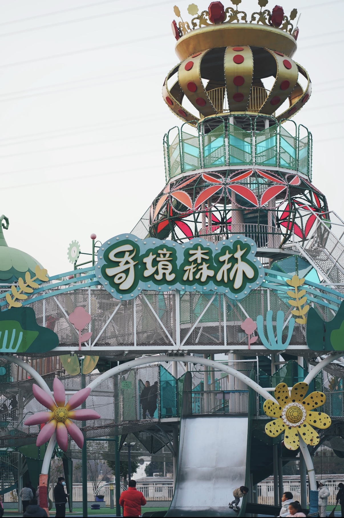 马2 马2